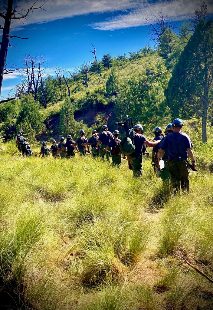 Compassion Spreads Like Wildfire